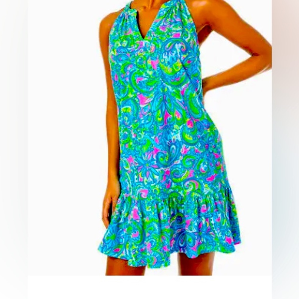 NWT Lily Pulitzer blue Danbury dress size small Hey Gullfriend print